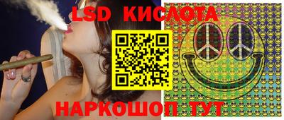 PSILOCYBIN Шелехов