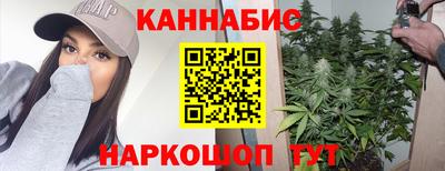 стафф Шебекино