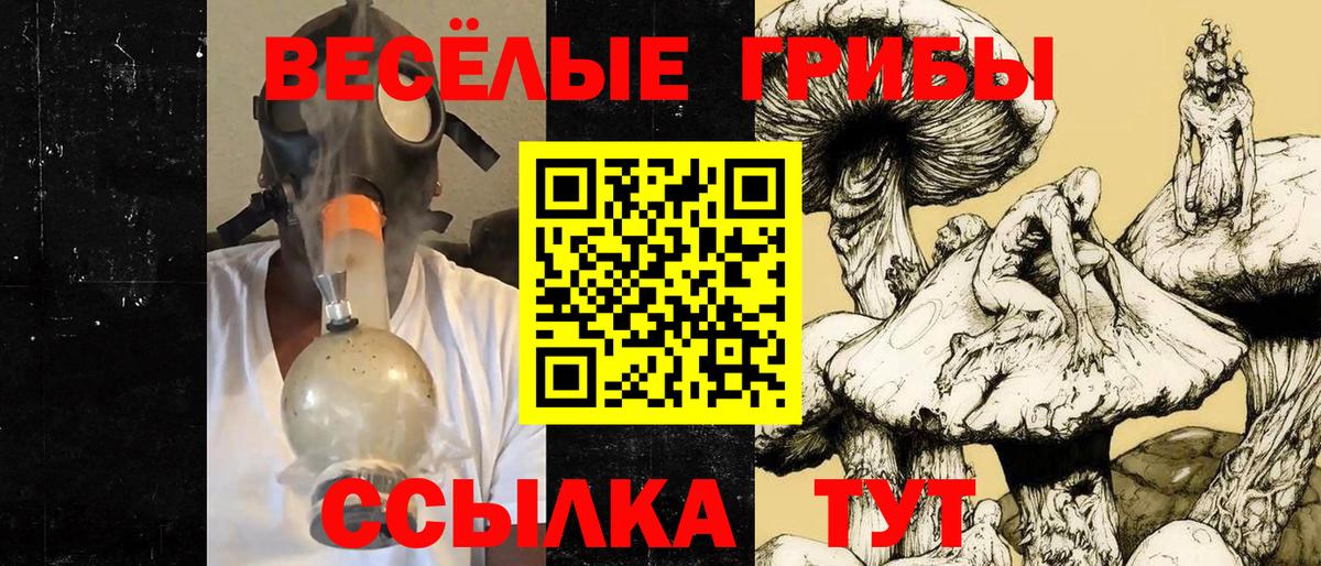 Псилоцибиновые грибы мухоморы Белая Калитва