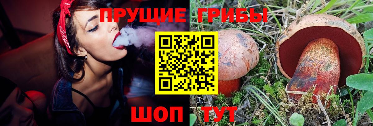магазин    Псилоцибиновые грибы мицелий  Белая Калитва  Вход с VPN  Псилоцибиновые грибы мицелий 
